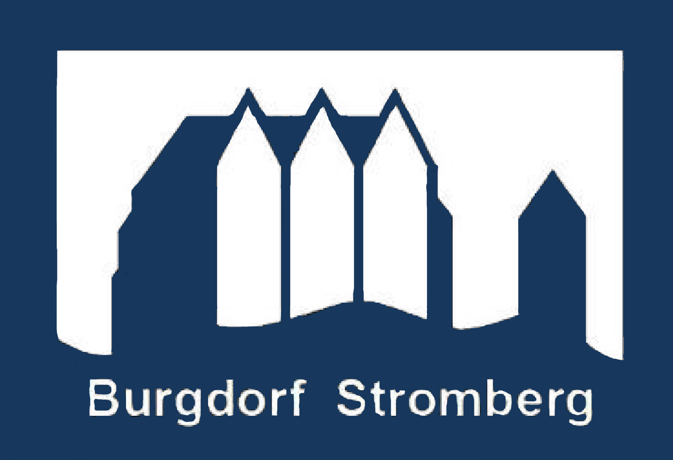 Logo Burgdorf Stromberg